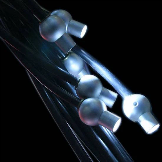 Fiber optic assembly for solar lighting solution